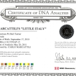 Marcattili's Little Italy Certificate Of DNA Analysis