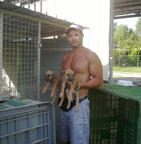 Carlos and puppies