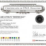 Central Coast Kennel's Doomsday Certificate DNA Analysis