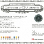 Southern Kennel's Haunchday Certificate DNA Analysis