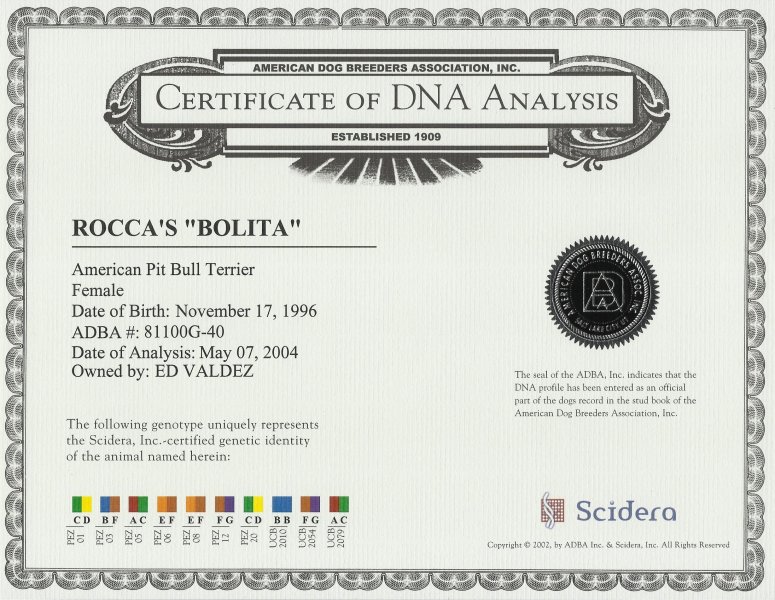 Rocca's Bolita Certificate Of DNA Analysis