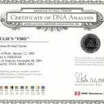 Paulie's Fire Certificate Of DNA Analysis