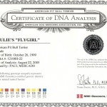 Paulie's Fly Girl Certificate Of DNA Analysis