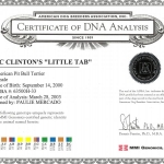 Mc Clinton's Little Tab Certificate Of DNA Analysis