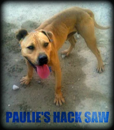 Paulie's Hack Saw