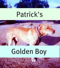 Patrick\'s Golden Boy