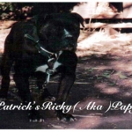 Patricks Ricky