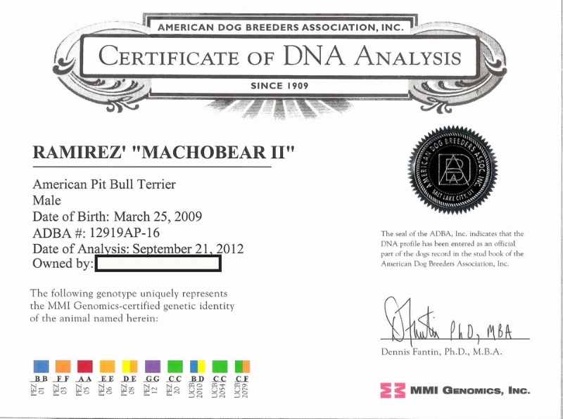 Machobear DNA Certificate Of Analysis