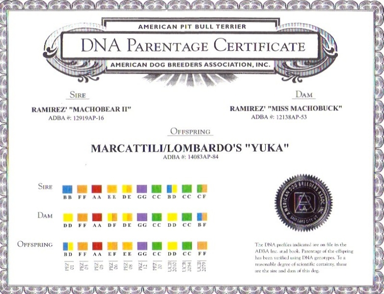 Marcattili's & Lombardo's Yuka DNA Parentage Certificate